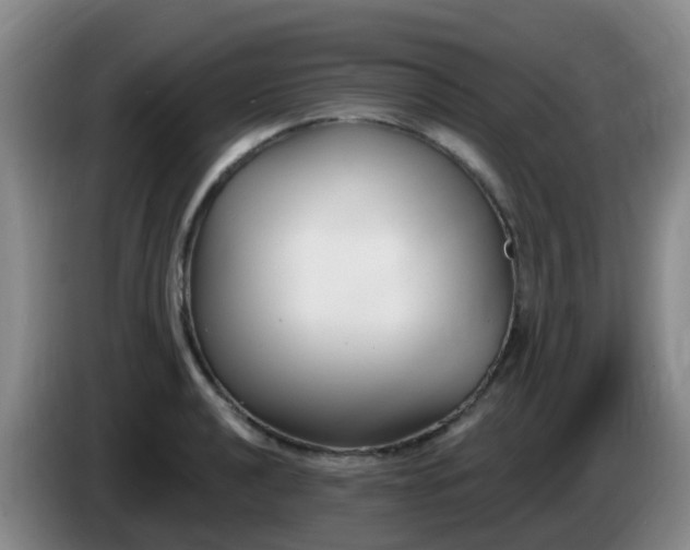 X0000085081040200703121659