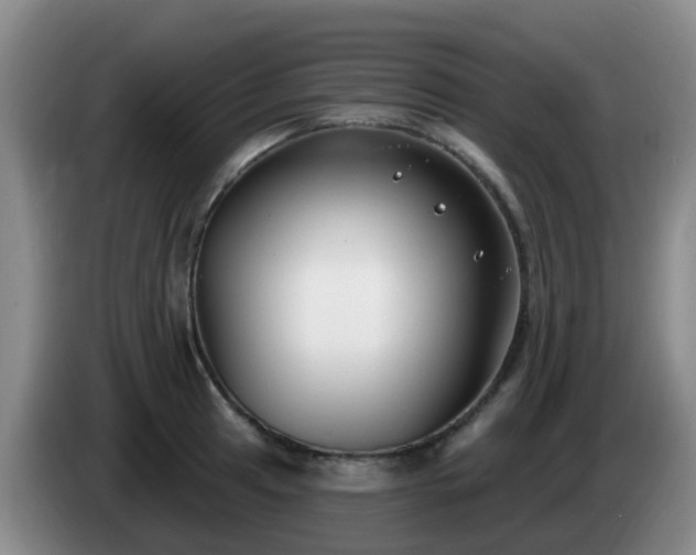 X0000085081041200703121659