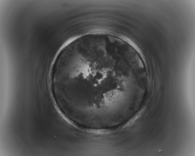 X0000085081045200703121659