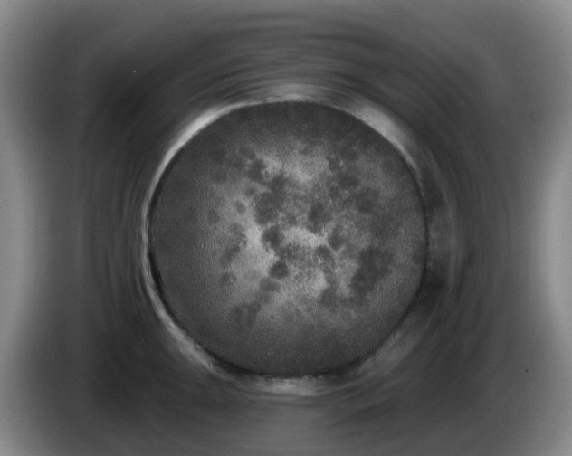 X0000085081047200703121659