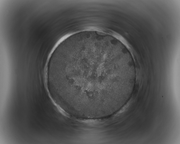 X0000085081048200703121659