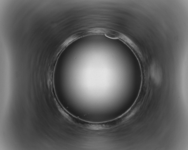 X0000085081049200703121659