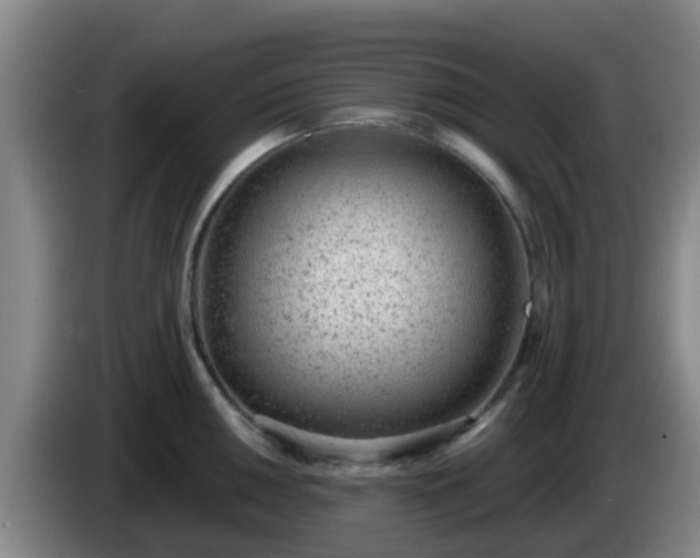 X0000085081050200703121659