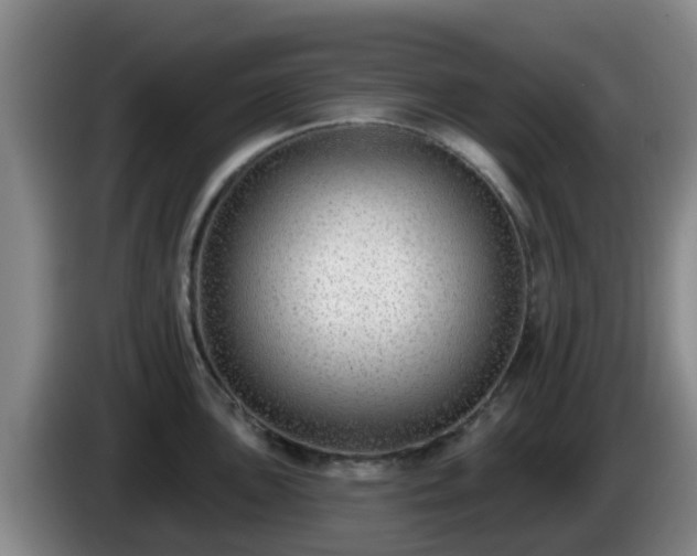 X0000085081051200703121659