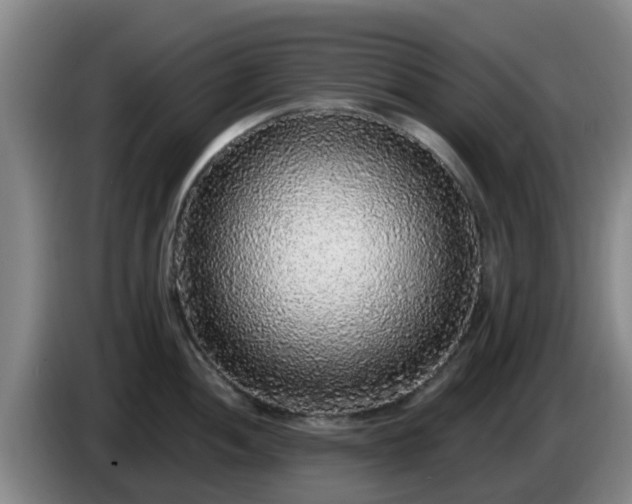 X0000085081052200703121659