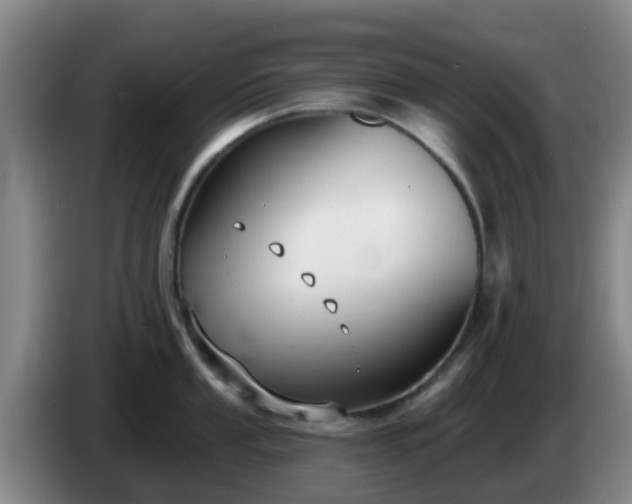 X0000085081053200703121659