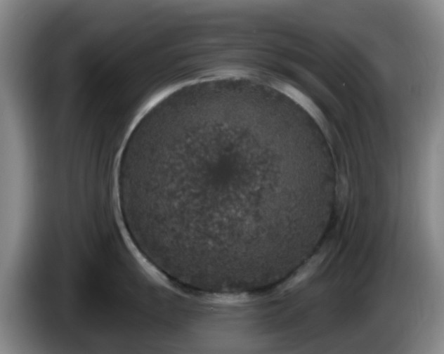 X0000085081055200703121659