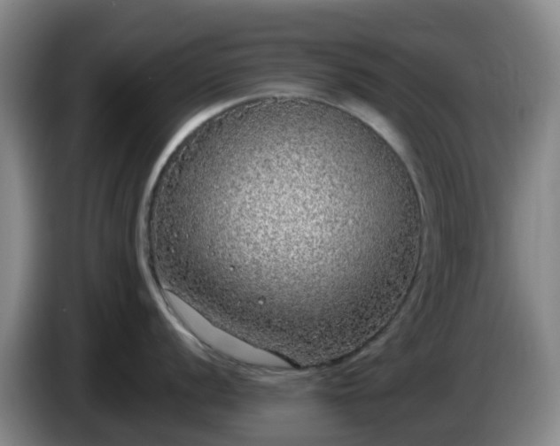 X0000085081056200703121659