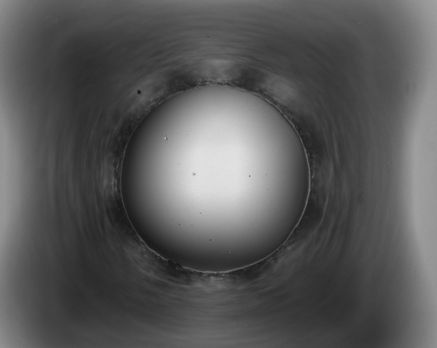 X0000085081058200703121658