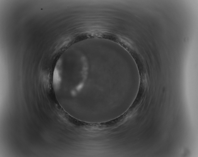 X0000085081060200703121658