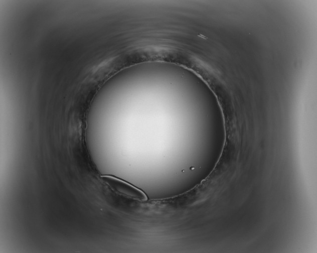 X0000085081061200703121658