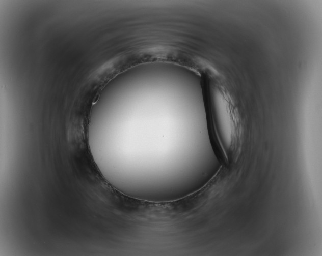 X0000085081062200703121658