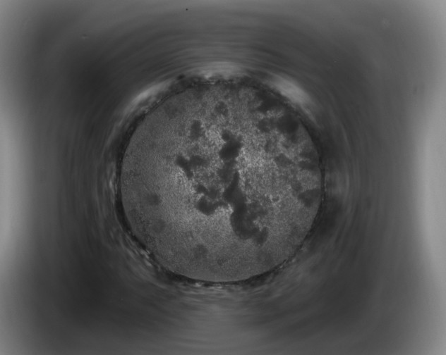 X0000085081063200703121658