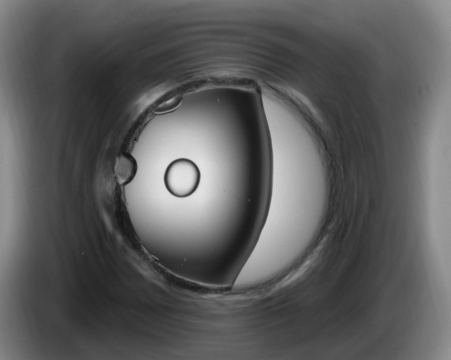 X0000085081065200703121658