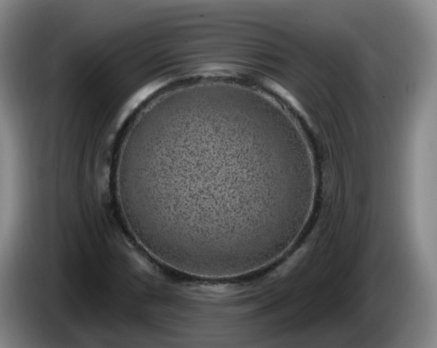 X0000085081066200703121658