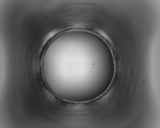 X0000085081067200703121658