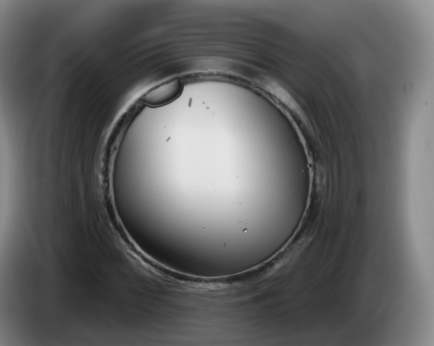 X0000085081068200703121658