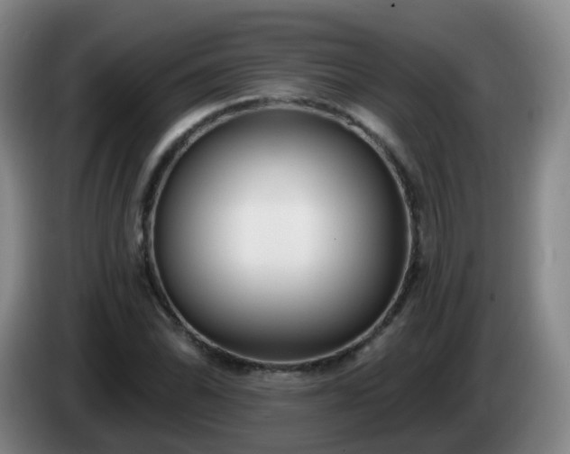 X0000085081070200703121658