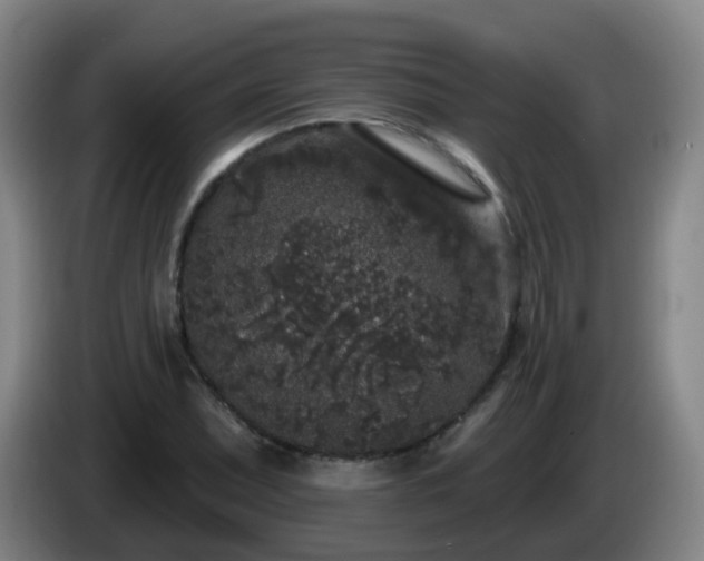 X0000085081071200703121658