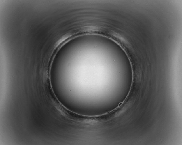 X0000085081073200703121658