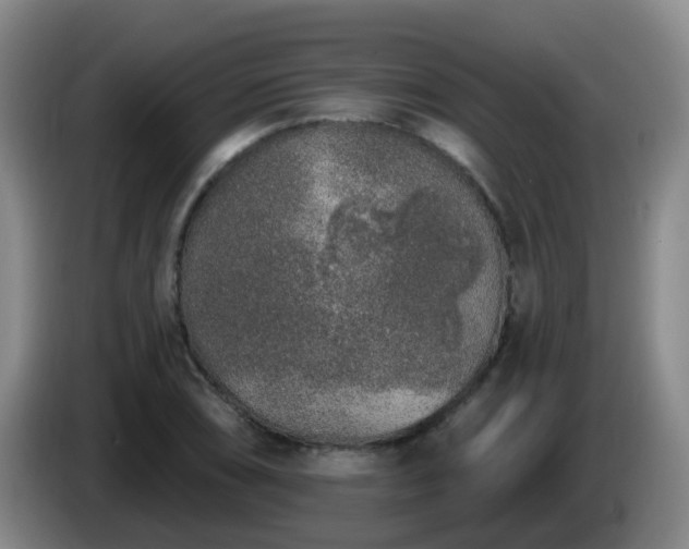 X0000085081074200703121658