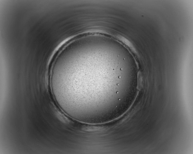 X0000085081076200703121658