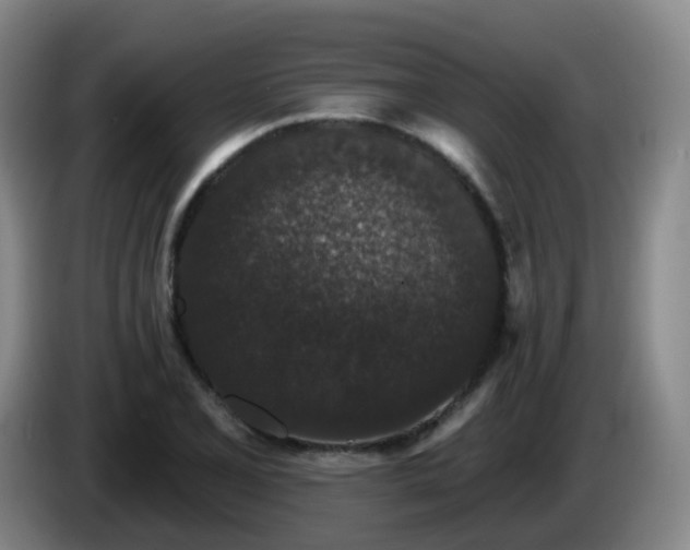 X0000085081077200703121658