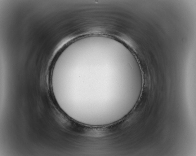 X0000085081078200703121658