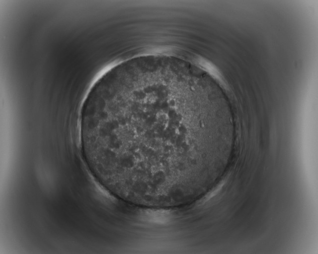 X0000085081079200703121658