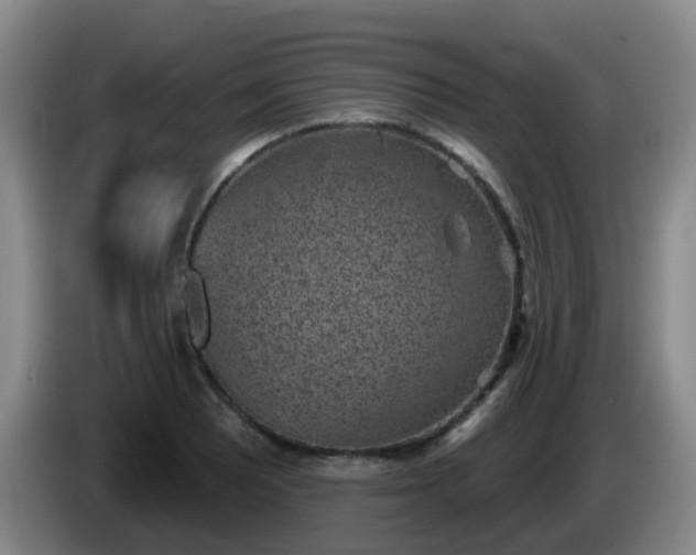 X0000085081081200703121658