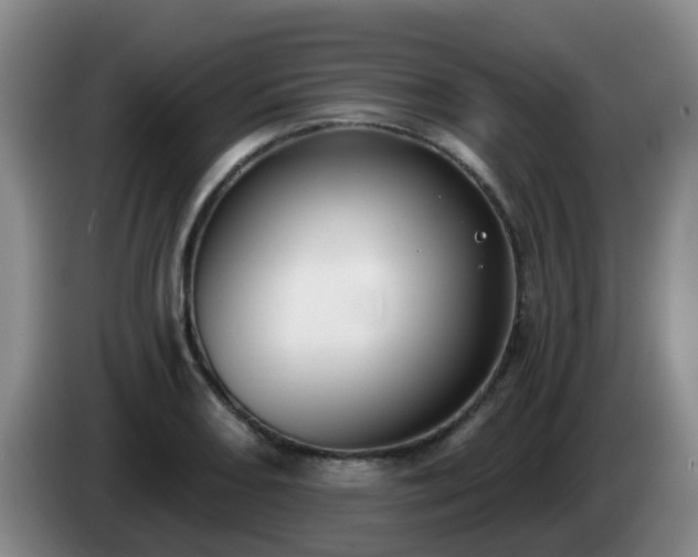 X0000085081082200703121658