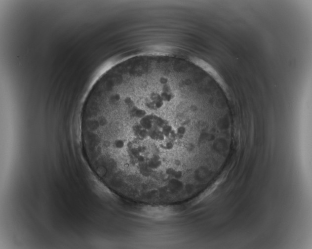 X0000085081083200703121658