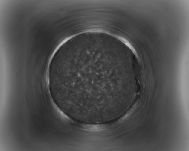 X0000085081084200703121658