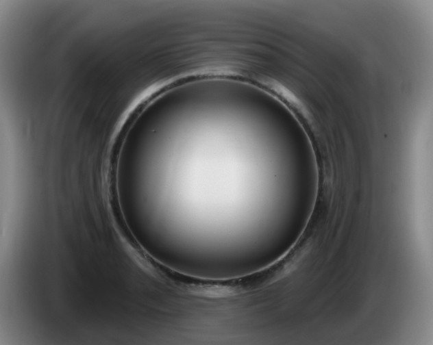 X0000085081085200703121658