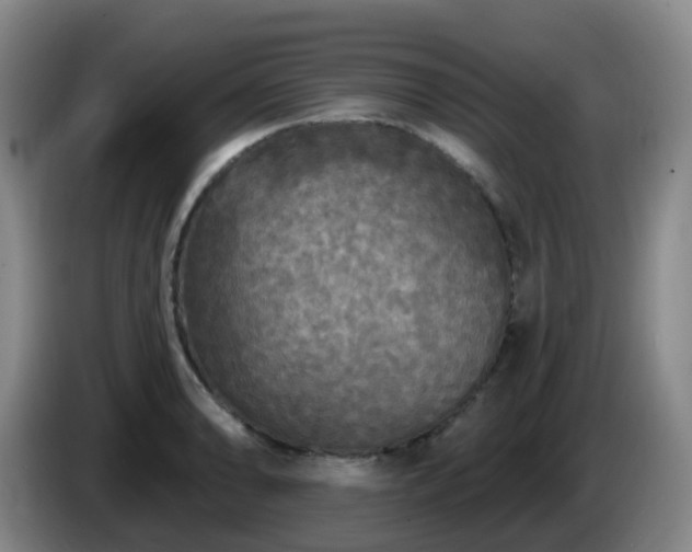 X0000085081086200703121658