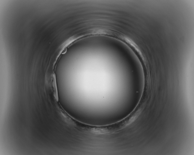 X0000085081089200703121658