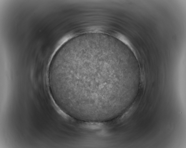 X0000085081090200703121658