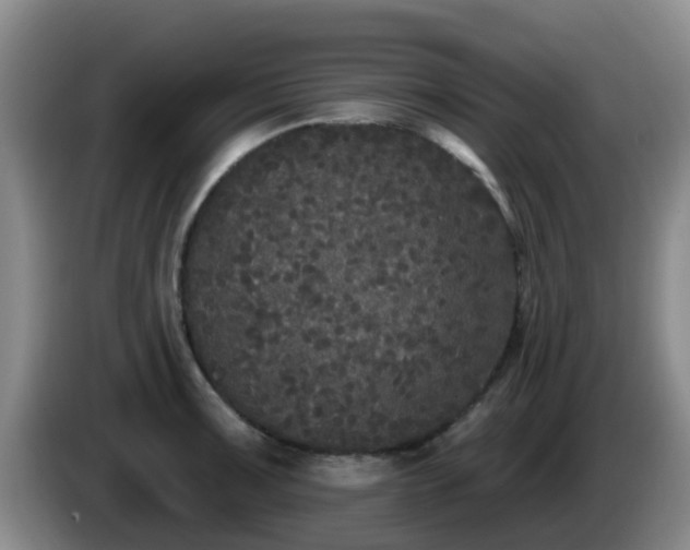 X0000085081091200703121658