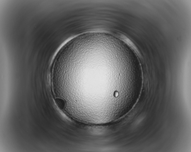 X0000085081092200703121658