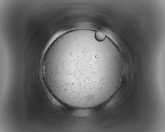 X0000085081094200703121658