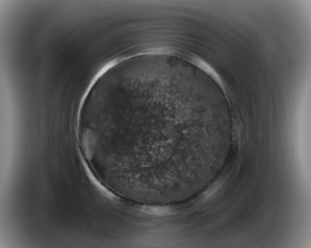 X0000085081095200703121658