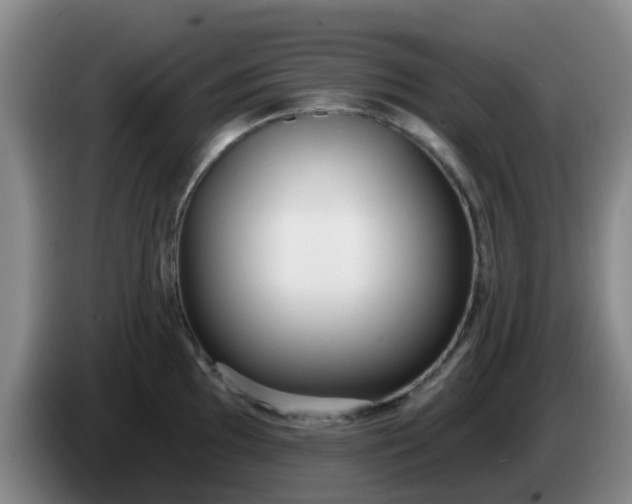 X0000085081097200703121658