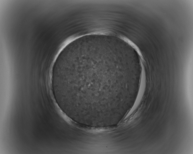 X0000085081099200703121658