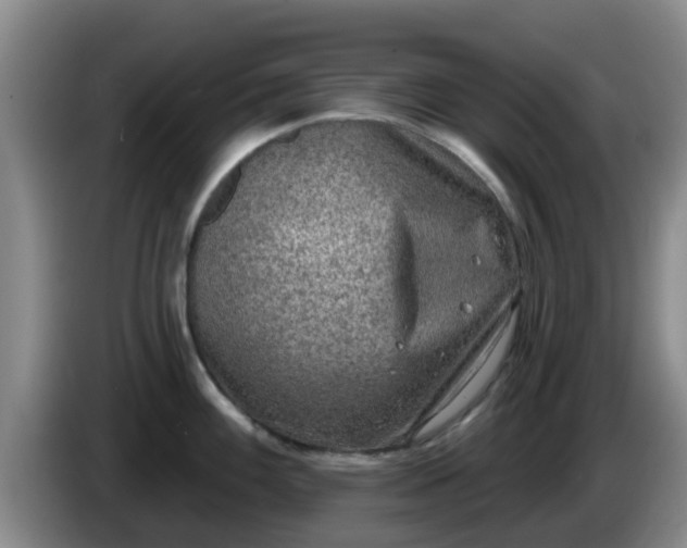 X0000085081100200703121658