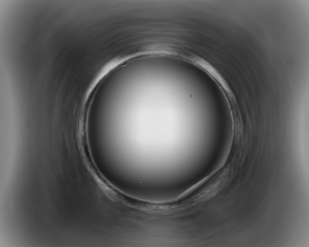 X0000085081101200703121658