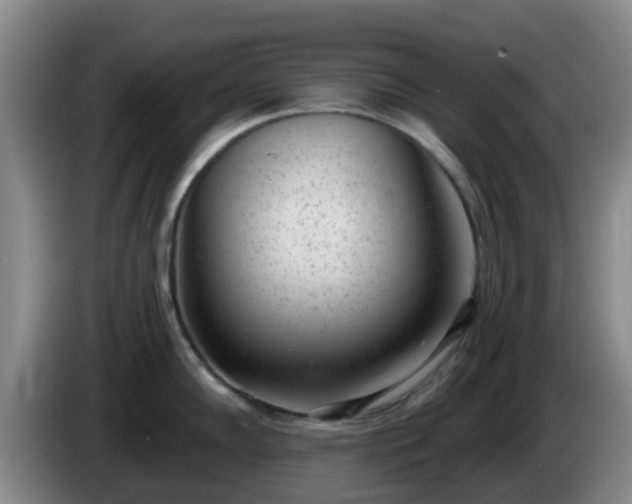 X0000085081102200703121658