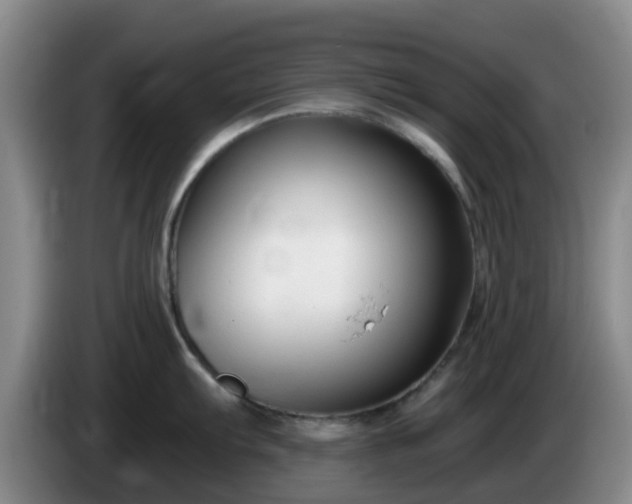 X0000085081103200703121658