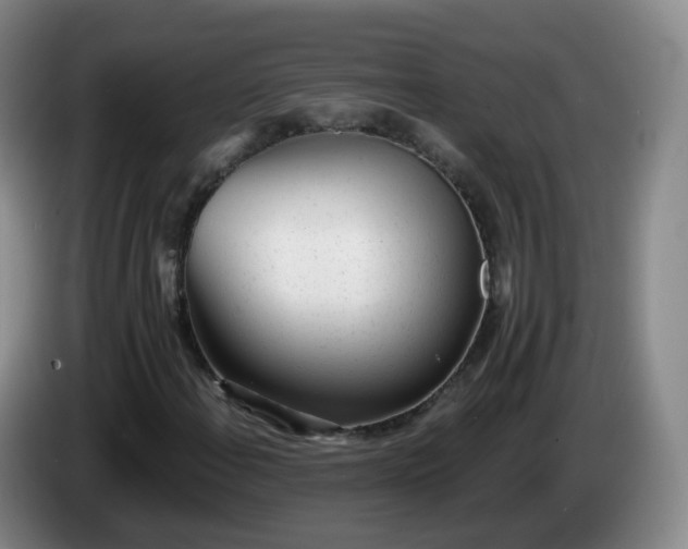 X0000085081108200703121657