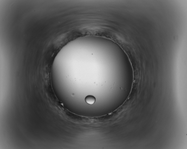 X0000085081109200703121657