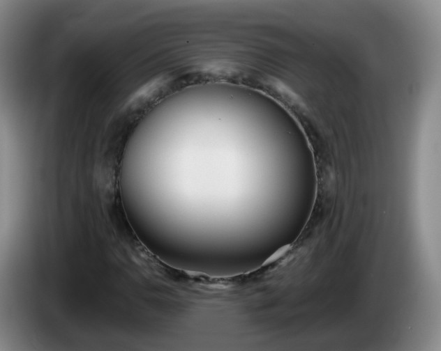 X0000085081110200703121657